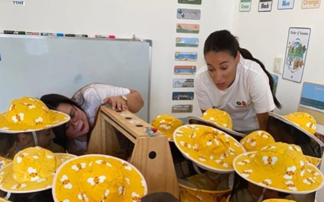 The Little Bee World — A joyful, hands-on journey into the life of bees.